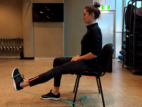 Physio Rehab | Exercise Library | Knee + Leg