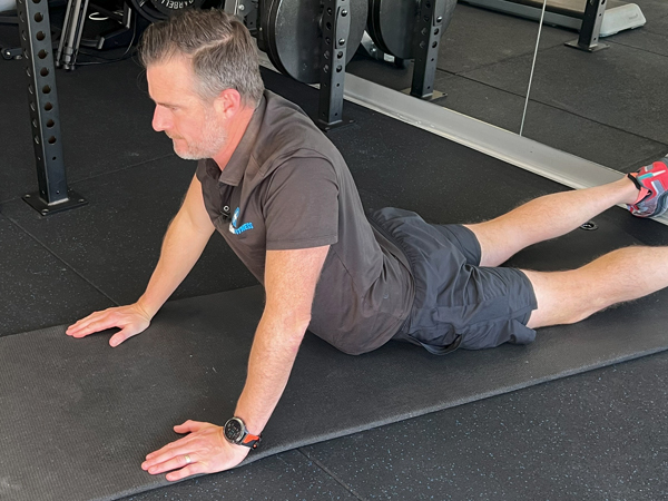 Physio Rehab | Exercise Library | Lumbar Spine, SIJ and Core
